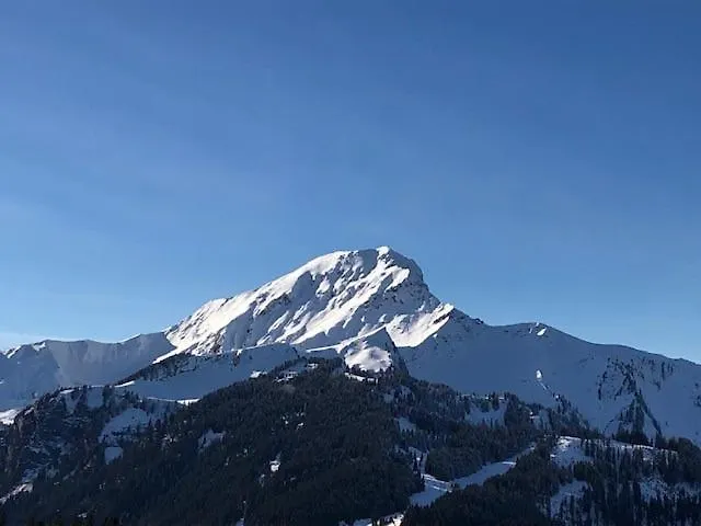 Apartment A304 La Perle De Savoie Chatel France